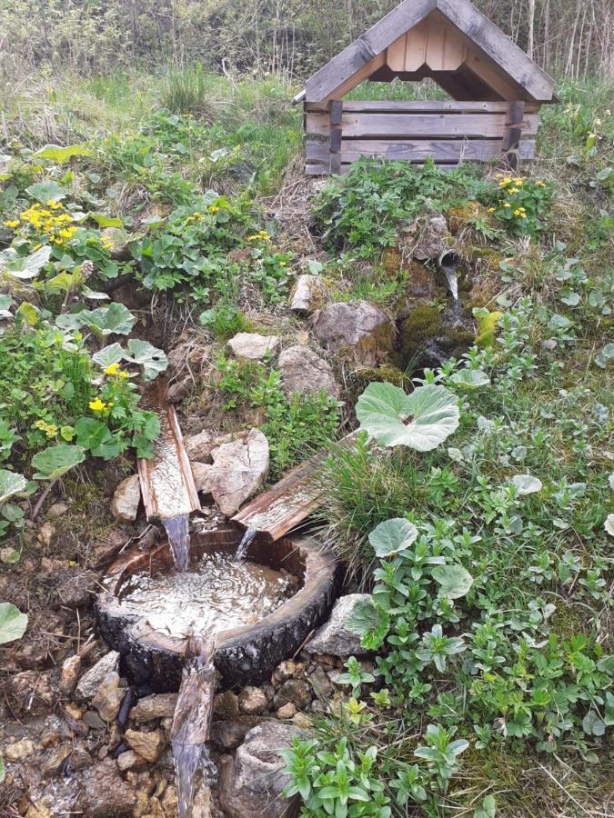 Rekreacny Dom Tyrkys Villa Poprad Eksteriør billede